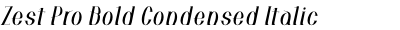 Zest Pro Bold Condensed Italic